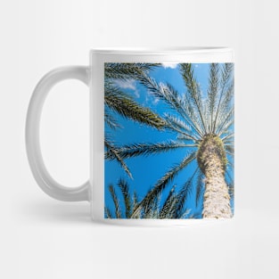 Palm tree looking up Mug